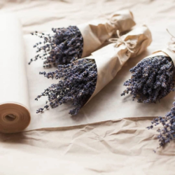 Цветы-всегда, особенно в первый день весны!🌸💜