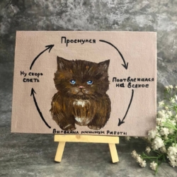 Привет всем любителям котиков и мемов!