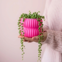 Необычные кашпо и вазочки😁