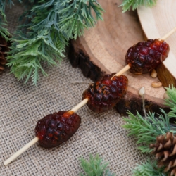 СОКРОВИЩЕ СИБИРСКИХ ЛЕСОВ