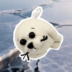 Что за милые глазастики? 🥺💕 🦭