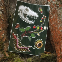 Всё для любителей природной тематики