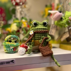 Жабковое царство 🐸