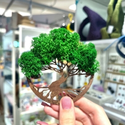 Кашпо и панно с сублимированным мхом🌿