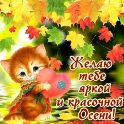 Эти милые зверята готовы сопровождать тебя всю осень 🍁🍂🥰